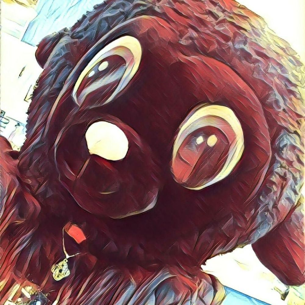 Meet your Posher, Laura